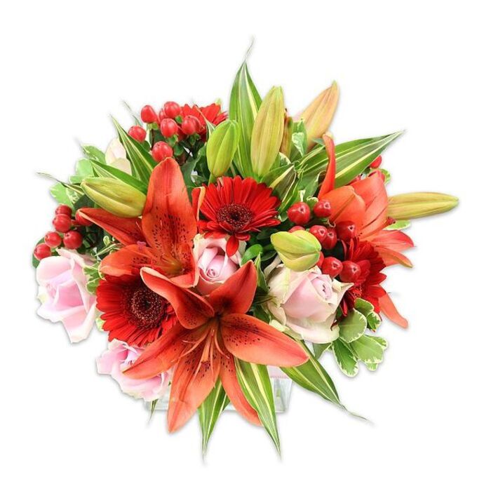 Set against a bright white field that sharpens every hue, this densely packed bouquet reads as a study in warmth and careful balance. At its focal point several generous Asiatic lilies unfurl in fiery orange-red, their recurved petals sometimes freckled with darker speckles and their stamens providing subtle sculptural contrast. Scattered among the lilies are rich, red Gerbera daisies, their many narrow petals radiating from darker centres and giving the arrangement a spirited, graphic quality. Gentle pale pink roses weave through the mass of blooms-some tightly coiled, others opening into classic cups-softening the palette and offering a romantic whisper amidst the bolder tones. Small clusters of bright red hypericum berries nestle into hollows between petals, their glossy, bead-like forms catching light and adding a festive, tactile interest. The bouquet is lushly surrounded by foliage: smooth, broad green leaves, pointed lily blades and a sprinkling of variegated greenery with lighter veins that lift the composition and add depth. In the clean, even light the textures become distinct-papery lily petals, satiny rose faces, the firm shine of berries and crisp greenery-evoking both visual richness and a gentle fragrance that might remind one of early morning markets by Aldgate and Brick Lane. This arrangement feels celebratory but grounded, ideal for marking birthdays, anniversaries or as a thoughtful bouquet to brighten a flat or office near Aldgate Square or the nearby Spitalfields stalls.